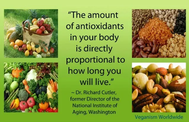 detox with antioxidants