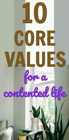 core values 4 joy