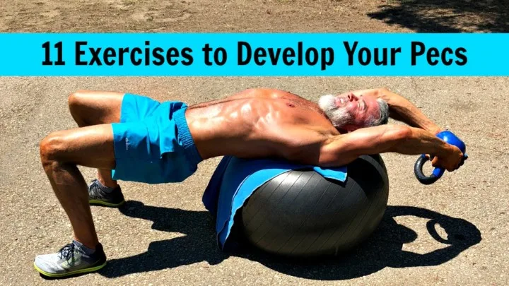 pec exercises develop chest