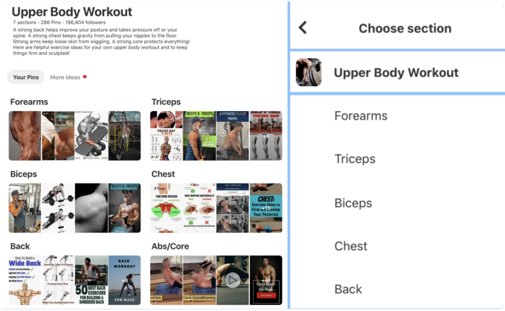 Dane Findley's workouts using Pinterest discovery engine for physique improvement.