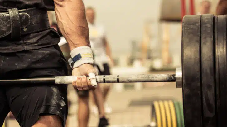 bodybuilding post-cycle therapy